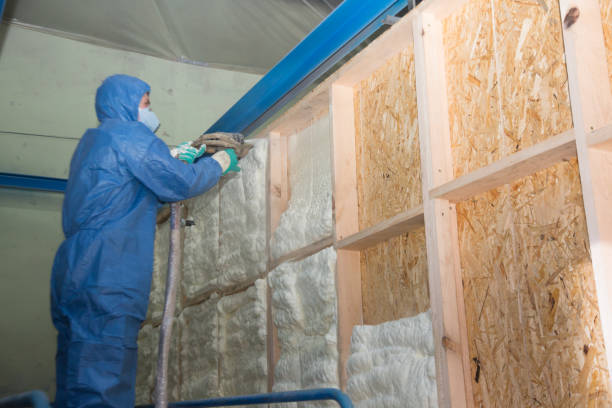 Best Cellulose Insulation  in Sughter, LA